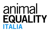 Animal Equality Italia logo