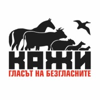 CAAI logo